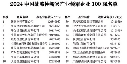 2024中国战略性新兴产业领军企业100强发布